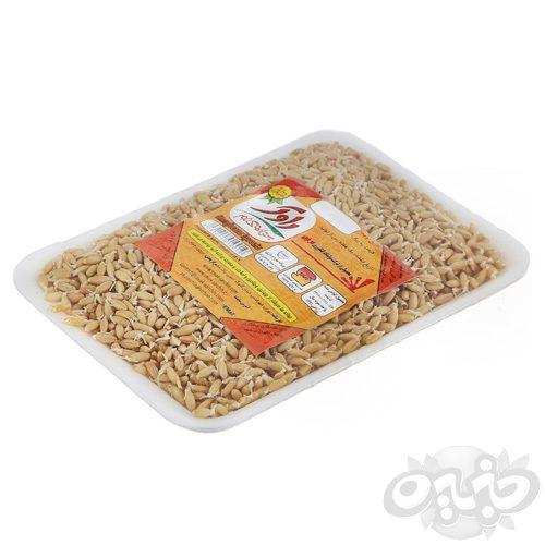 راوک جوانه گندم ۲۰۰ گرمی