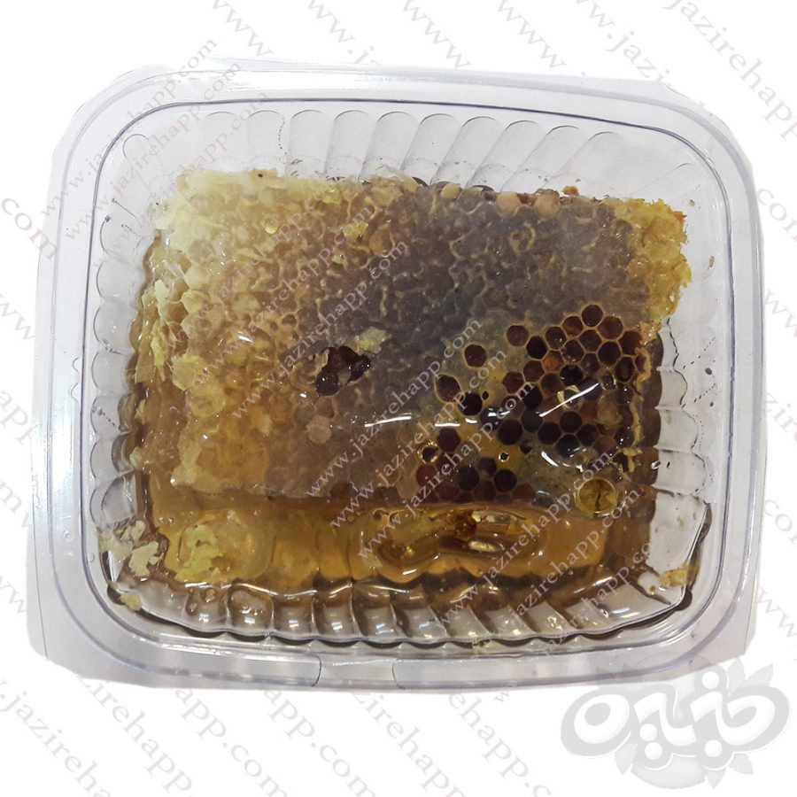 عسل طبیعی جنگلی موم دار فله 950 گرم(نجم خاورمیانه)
