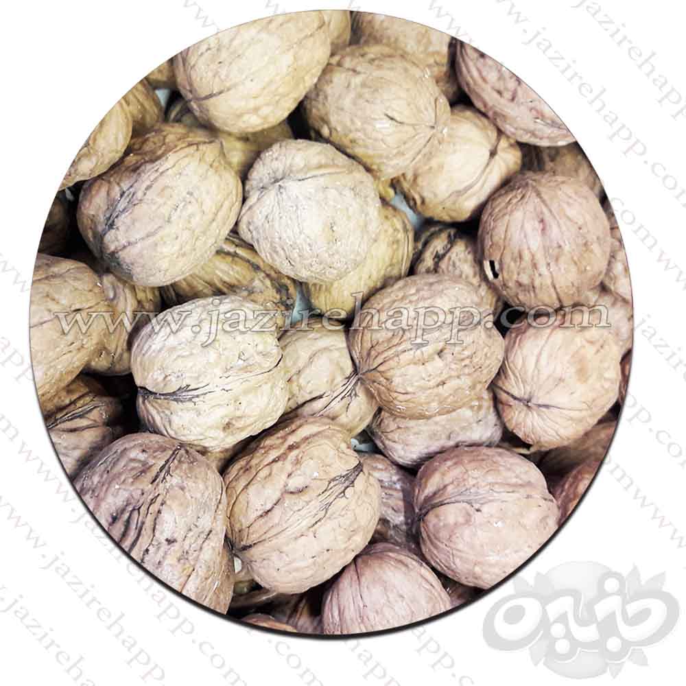 گردو با پوست ایرانی 500 گرم(نجم خاورمیانه)