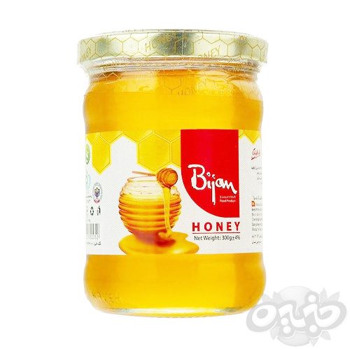 بیژن عسل طبیعی شیشه ای 300 گرم(نجم خاورمیانه)