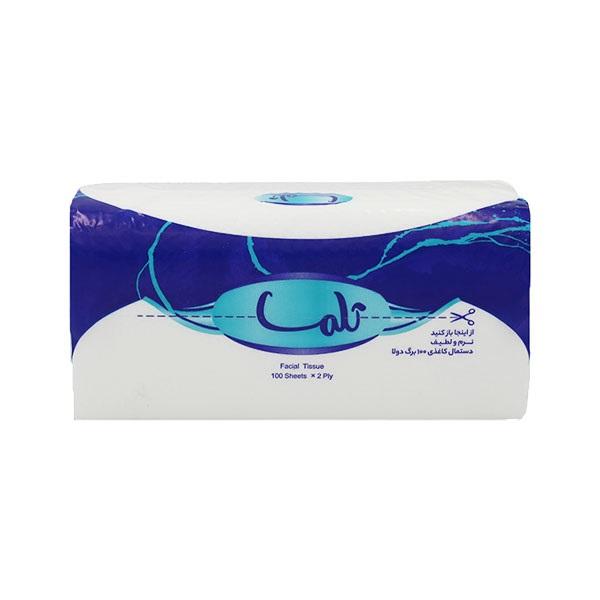 تلما دستمال اقتصادی 100 برگ دولا